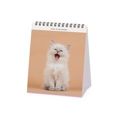 Calendario mesa Legami 12X14 2024 Kittens