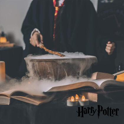 Ronyonera Harry Potter Wizard (230X90X120mm)