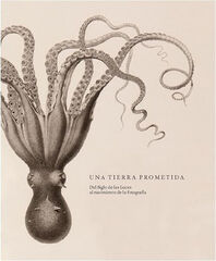 Una tierra prometida