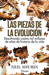 Las piezas de la evolución Las piezas de la evolución