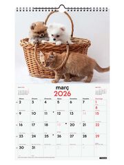 Calendario pared Finocam 25x40 2026 Gosso y Gatos catalán