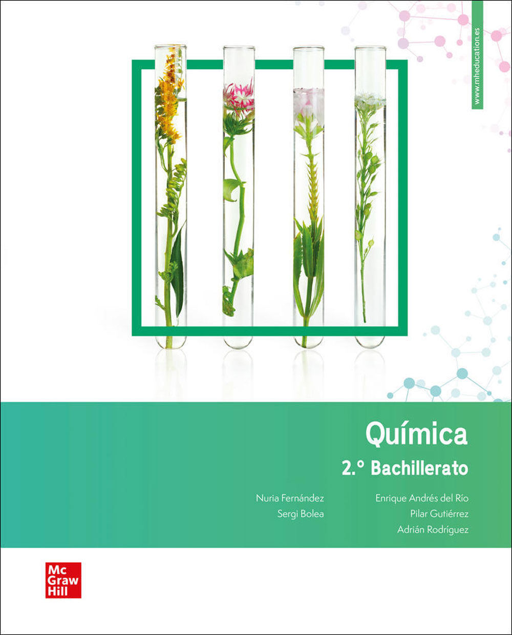 Qu&iacute;mica 2.&ordm; Bachillerato. Nova