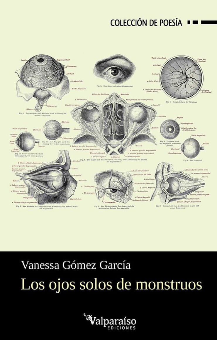 Los ojos solos de monstruos