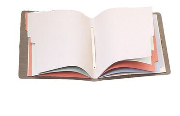 Carpeta clasificadora 10 divisiones Soldaplastic Folio rojo