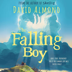 The falling boy