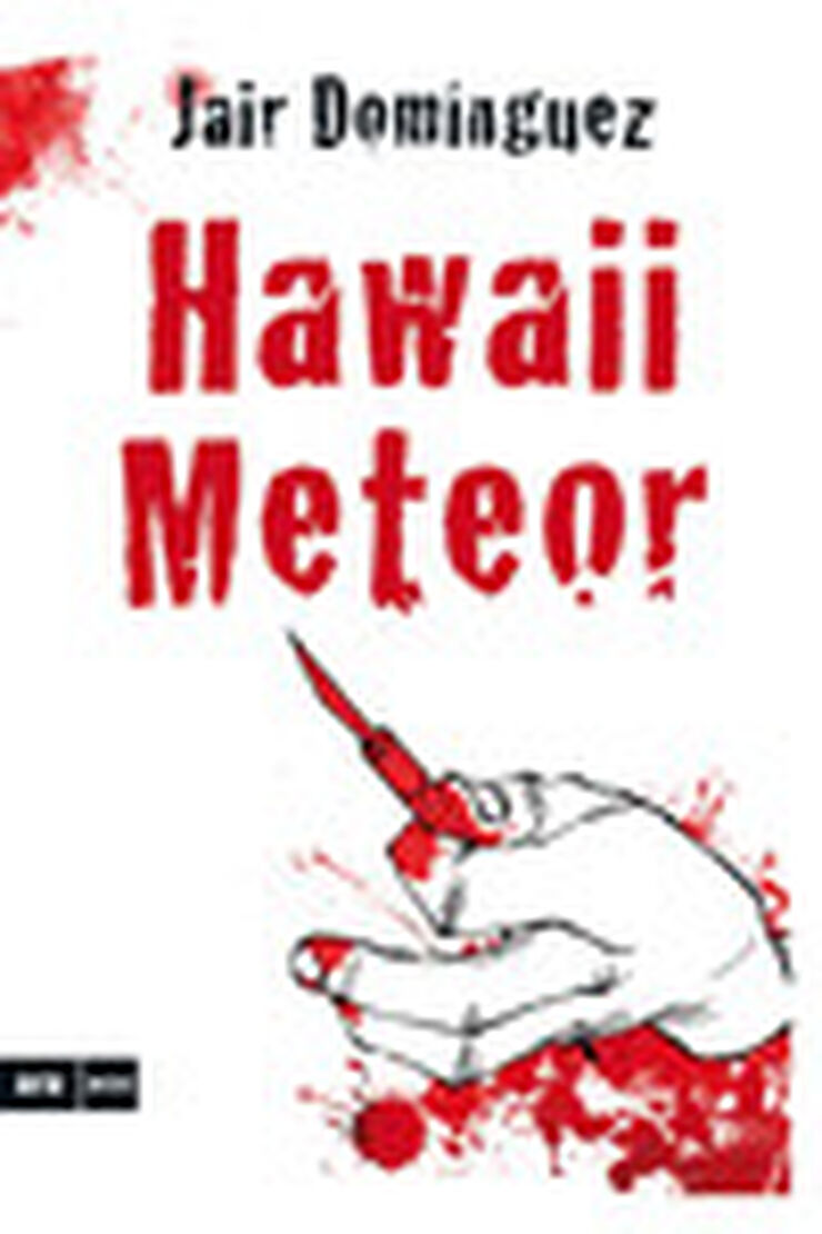 Hawaii meteor