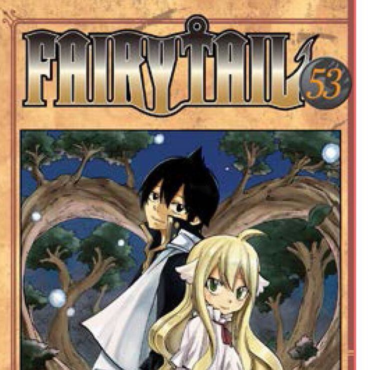 Fairy Tail 53