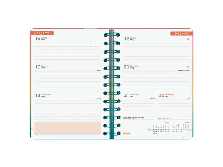 Agenda Finocam escolar Cosmo 1/8  setm/vista cat 2025-26 iris