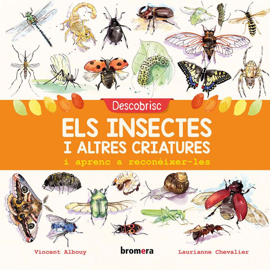 Descobrisc els insectes i altres criatures i aprenc a recon&eacute;ixer-les