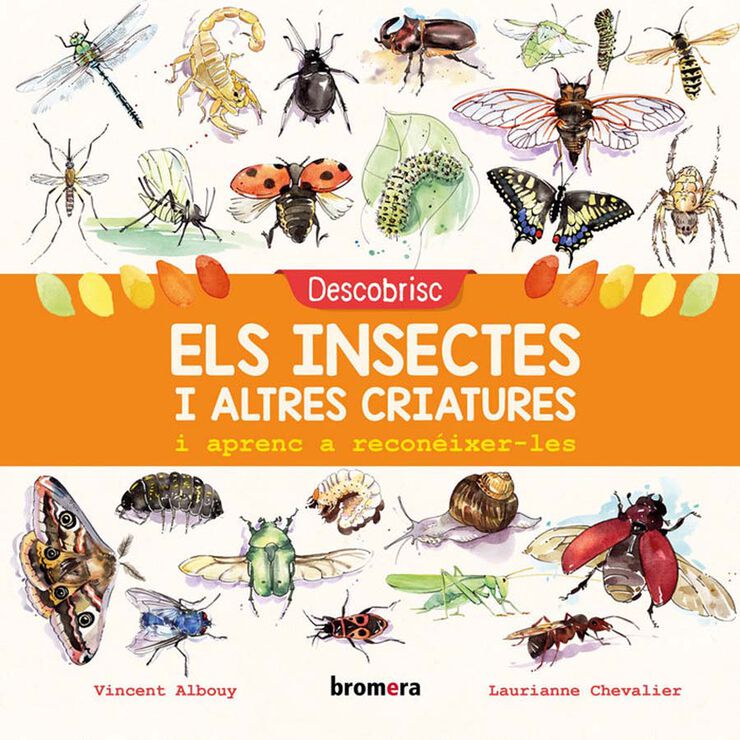 Descobrisc els insectes i altres criatures i aprenc a reconéixer-les