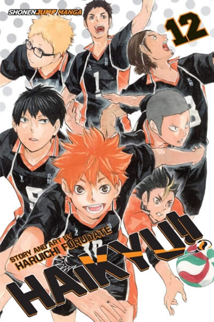 Haikyu!! vol 12