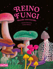 Reino fungi Reino fungi