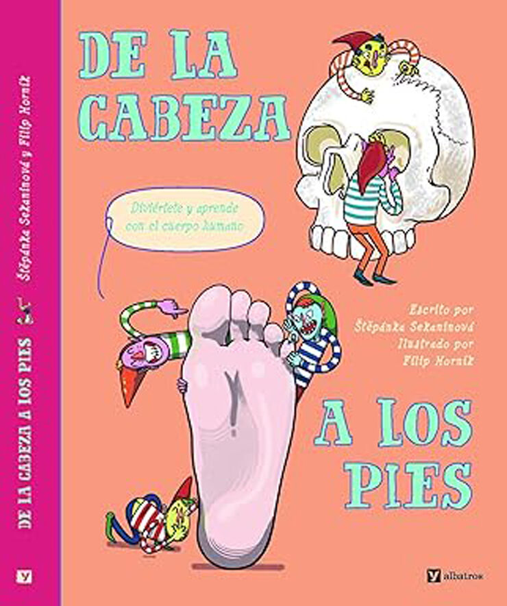 De la cabeza  a los pies
