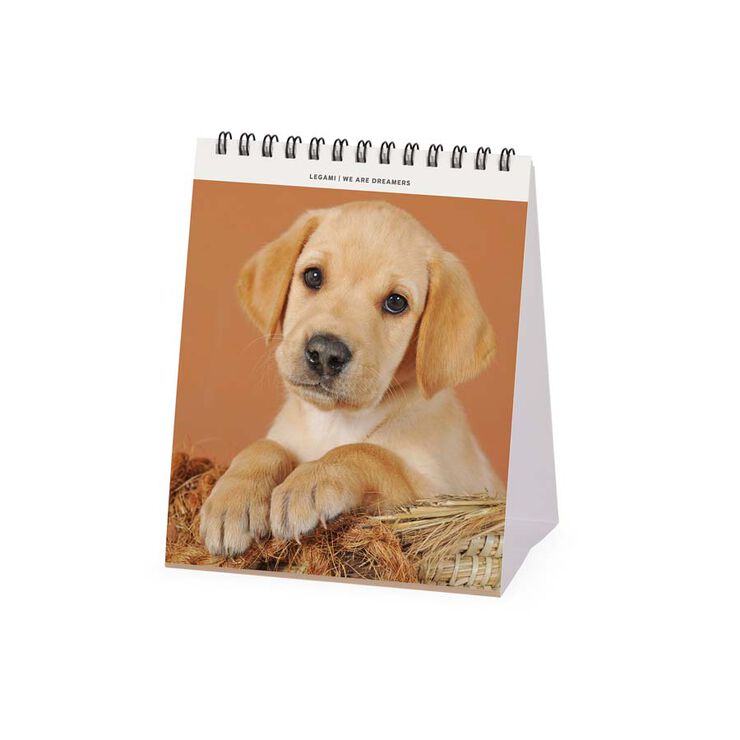 Calendario Mesa Legami m/vista 2025 Puppies