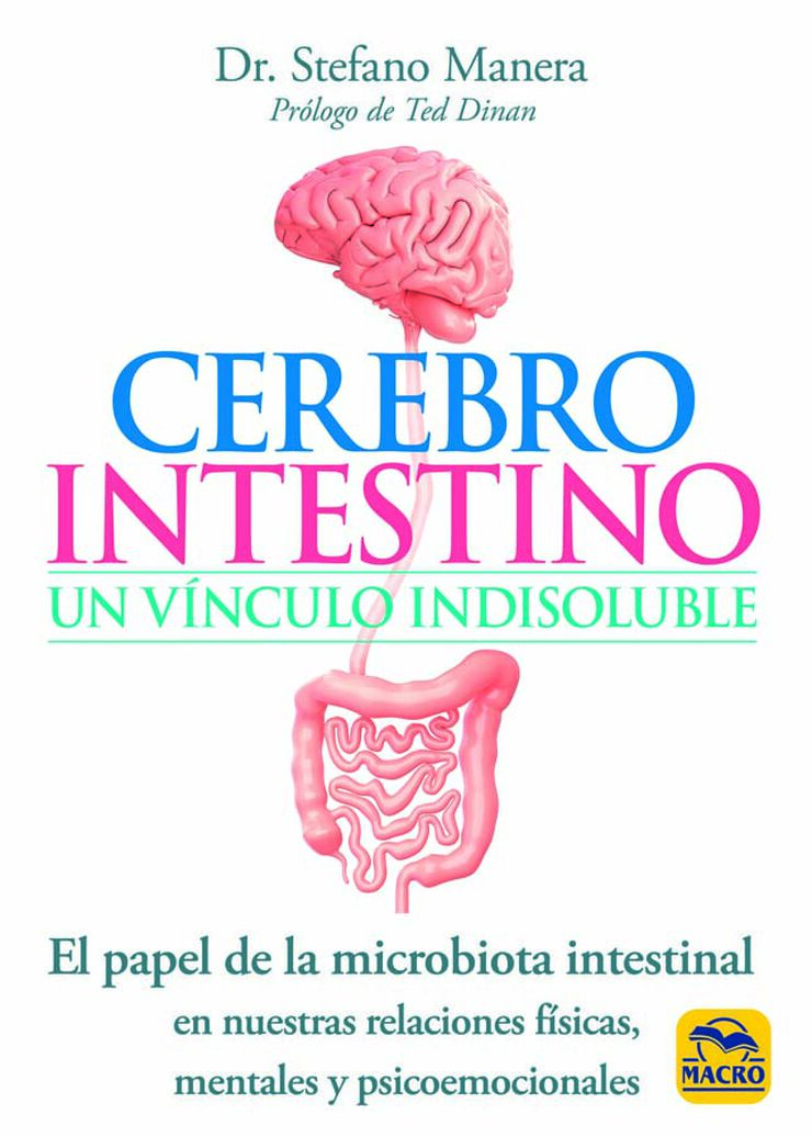 Cerebro intestino un vínculo indisoluble