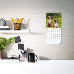 Calendario pared Finocam 18x18 2026 Dogs multilingüe