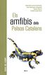 Els amfibis dels Països Catalans