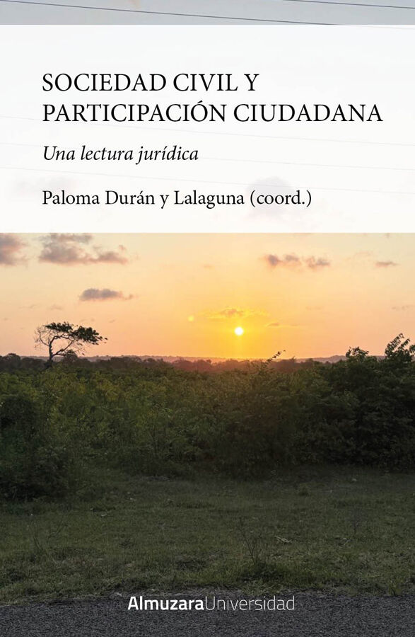 Sociedad civil y participaci&oacute;n ciudadana