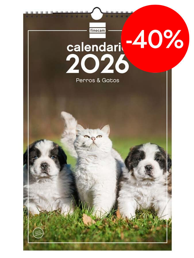 Calendari paret Finocam 25x40 2026 Gosso i Gats castell&agrave;