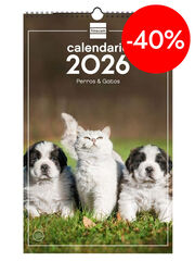 Calendari paret Finocam 25x40 2026 Gosso i Gats castell&agrave;