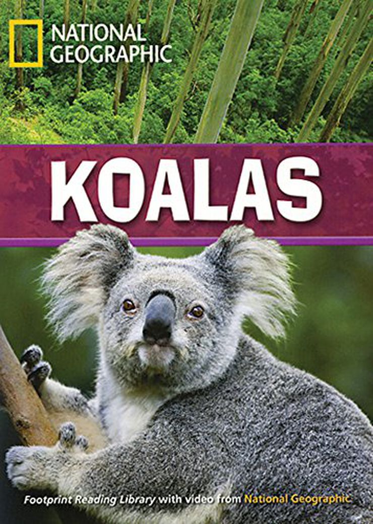 Koalas. 2600