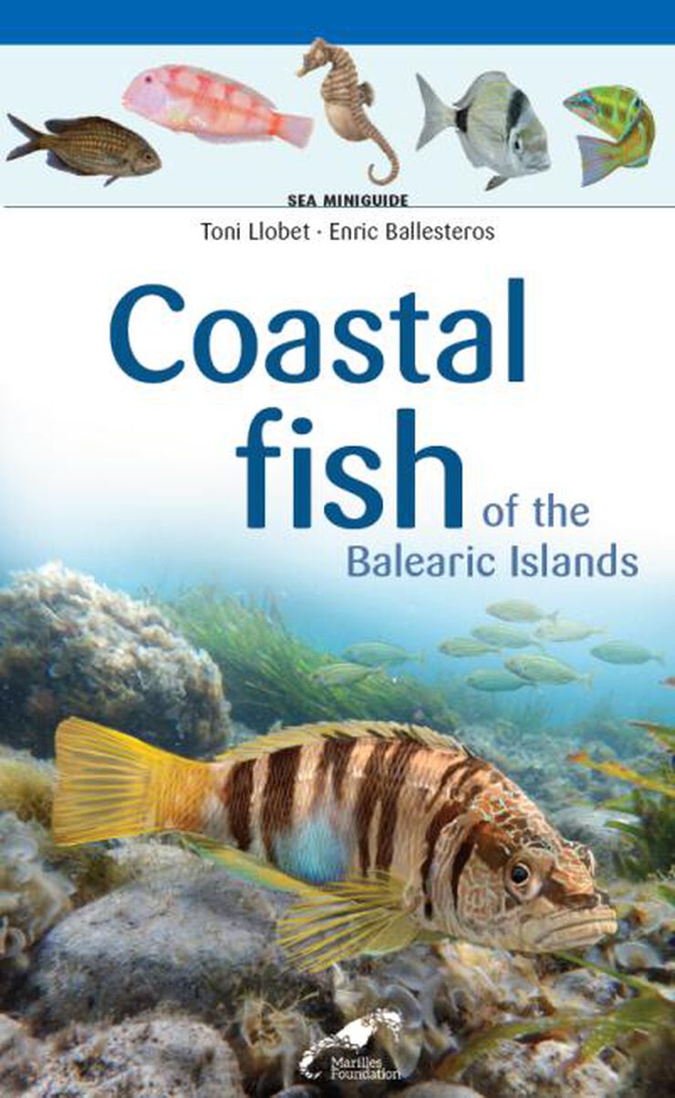 Coastal fish of the Balearic Islands