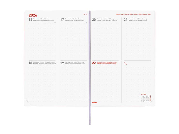Agenda Finocam 16 mesos Dotted Y10 setm/vista mult 2025-26 bloom