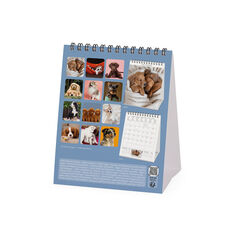 Calendario Legami 12x14,5 Sobremesa Puppies Multiling&uuml;e 2027