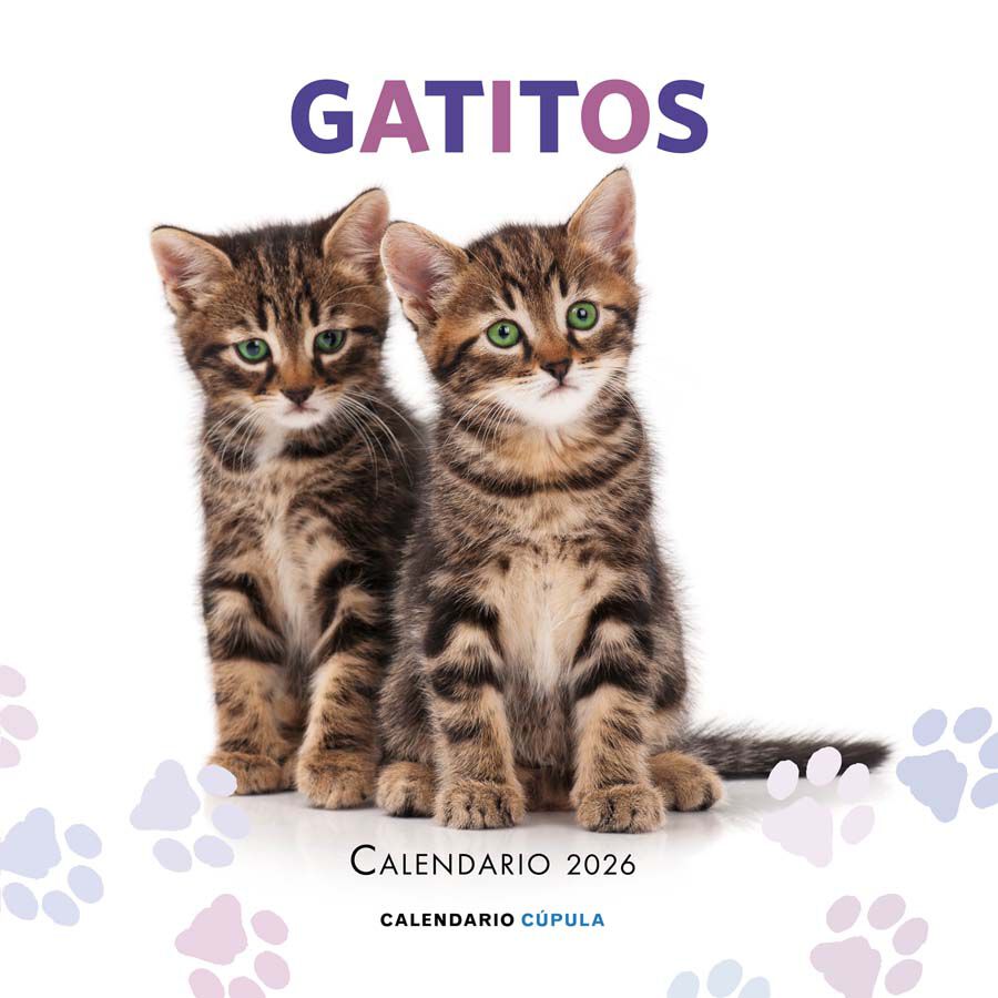 Calendari paret Gatitos 2026 castell&agrave;