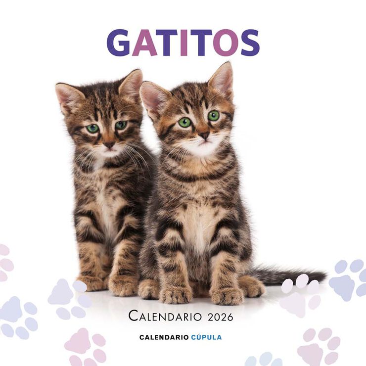 Calendario pared Gatitos 2026 castellano