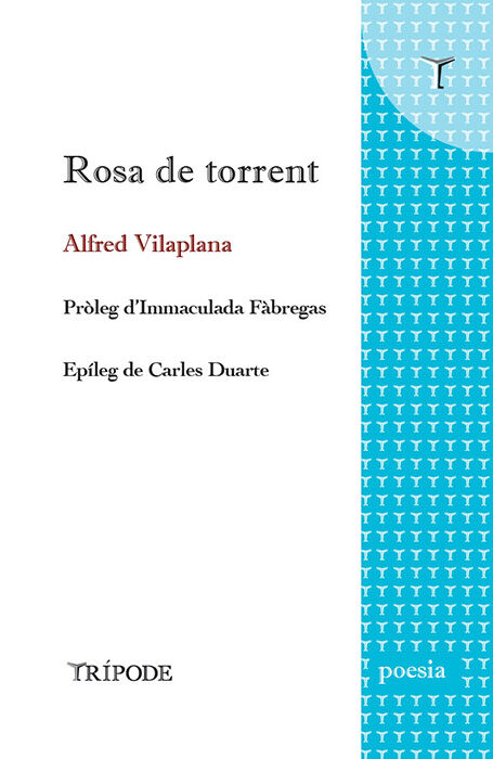 Rosa de torrent