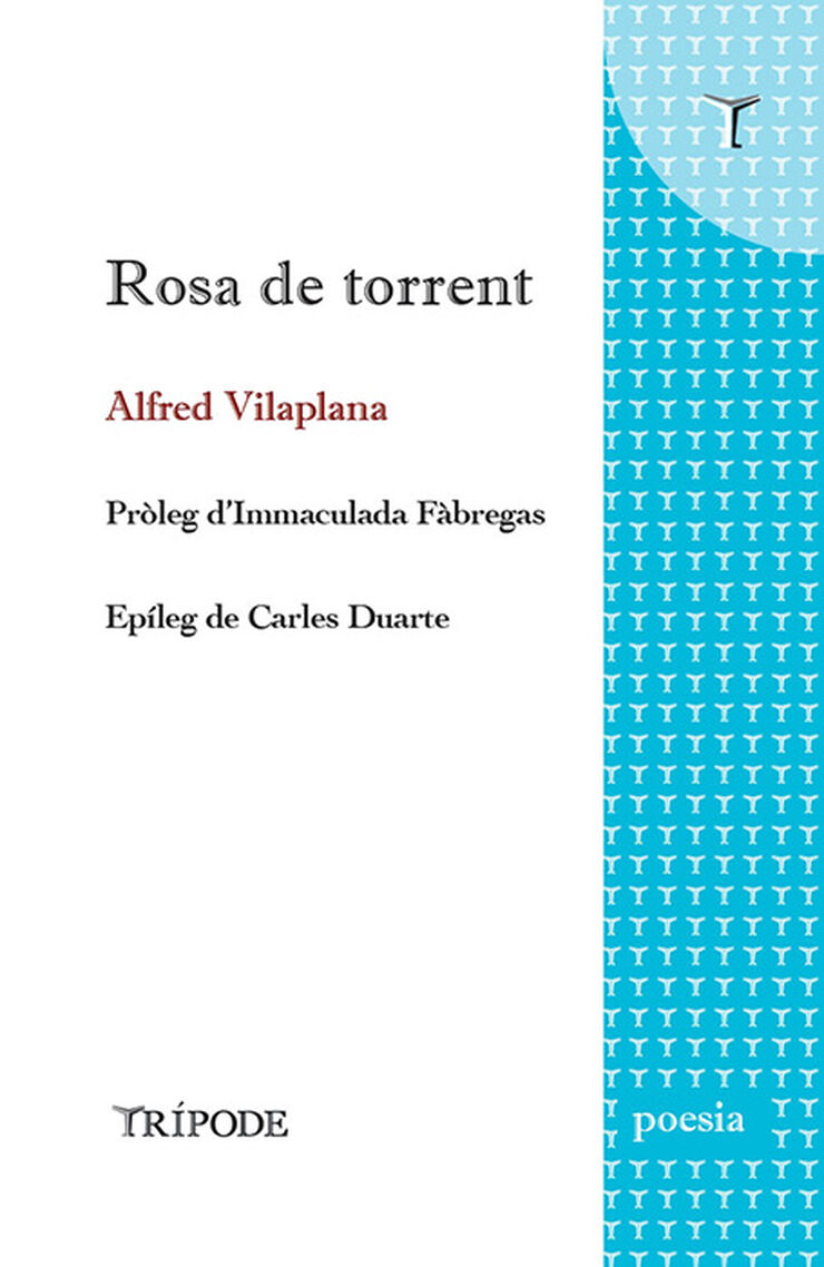 Rosa de torrent