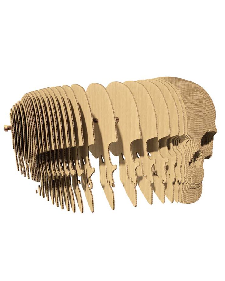 Cartonic Calavera