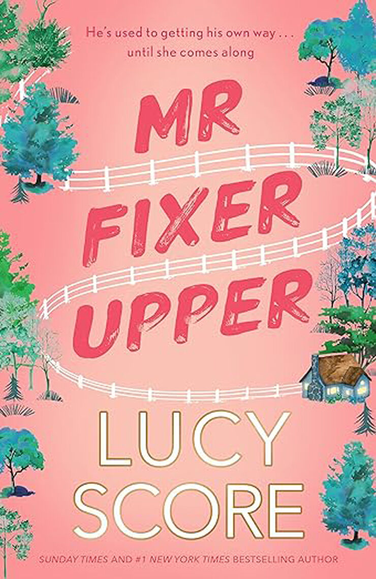 Mr fixer upper