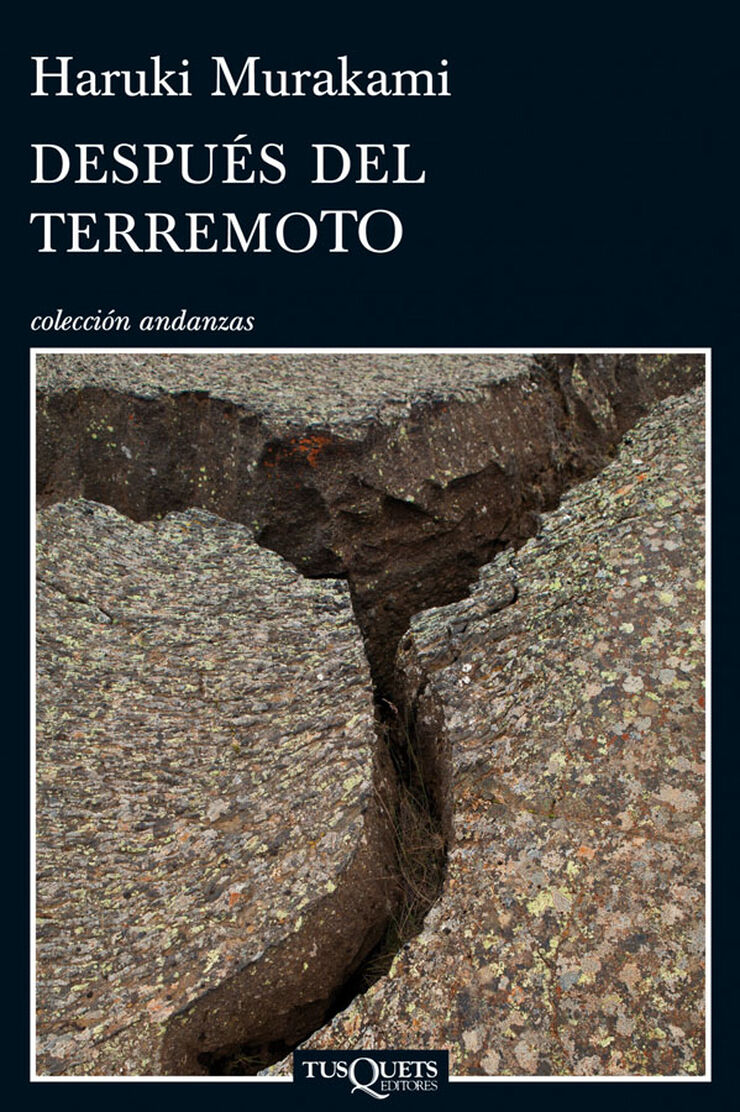 Despus del terremoto