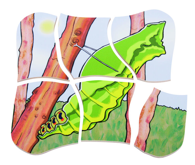ENCAJE EVOLUTIVO MARIPOSA