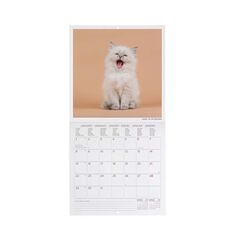 Calendari paret Legami 18X18 2024 Kittens