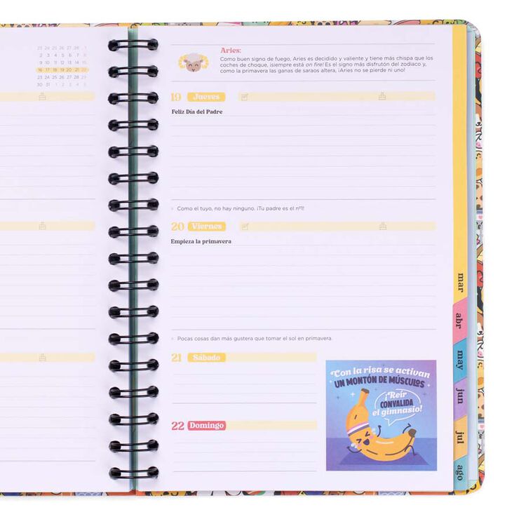 Agenda escolar Mr. Wonderful Bo-Bo sem/vista cas 2025-26 Risas, bobadas y aventuras alocadas