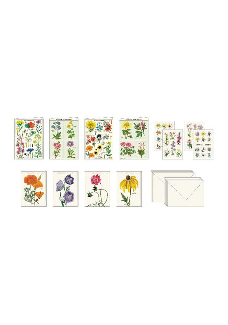 Siete Papelería Cavallini Wildflowers