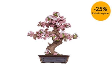 Maqueta Rolife Bonsai Sakura