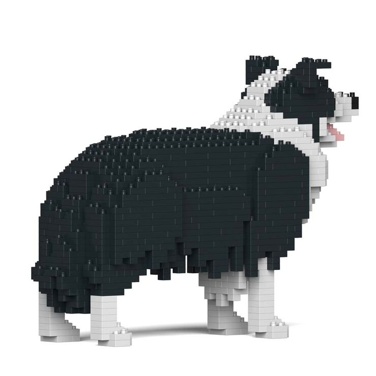 Jekca Border Collie