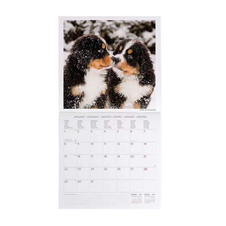 Calendario pared Legami 30X29 2024 Puppies