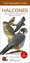 Halcones Halcones