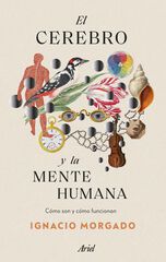 El cerebro y la mente humana El cerebro y la mente humana