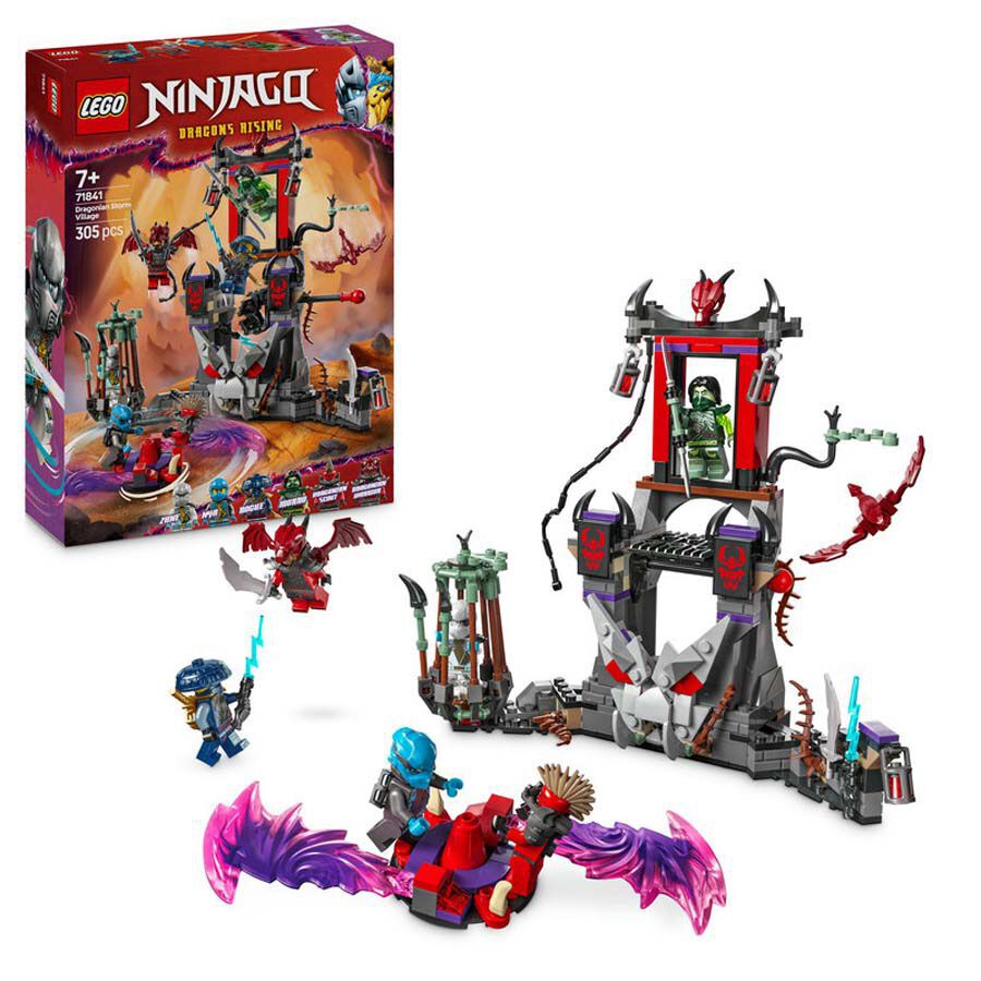 LEGO&reg; Ninjago Poble de la Tempesta Dragonida 71841