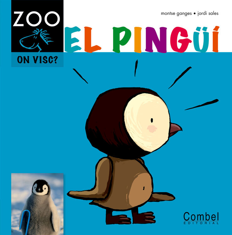 El pingüí - Zoo