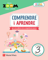 Vvib E3 Compendre i Aprendre Zoom