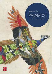 Versos de PÁJAROS Versos de PÁJAROS