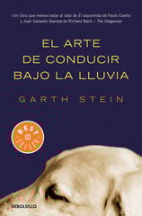 El arte de conducir bajo la lluvia El arte de conducir bajo la lluvia
