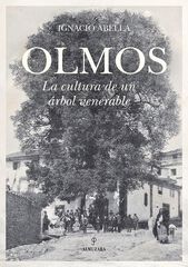 Olmos Olmos